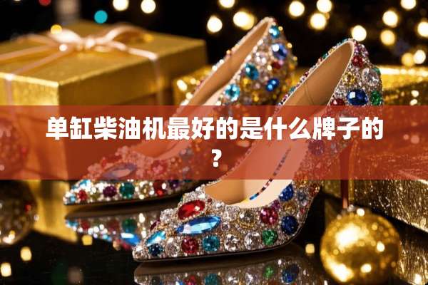单缸柴油机最好的是什么牌子的？