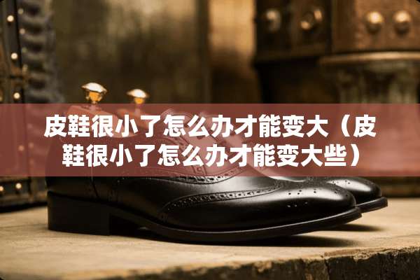 皮鞋很小了怎么办才能变大（皮鞋很小了怎么办才能变大些）