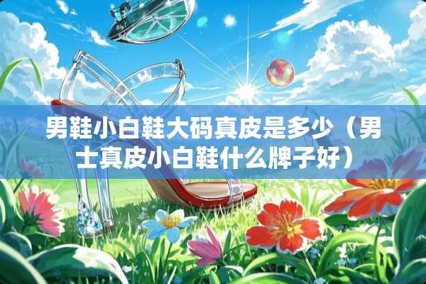 男鞋小白鞋大码真皮是多少（男士真皮小白鞋什么牌子好）