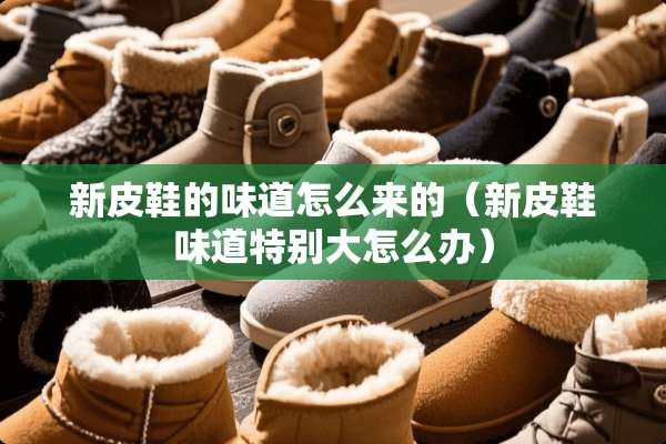 新皮鞋的味道怎么来的（新皮鞋味道特别大怎么办）