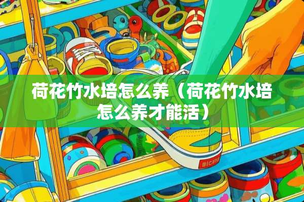 荷花竹水培怎么养（荷花竹水培怎么养才能活）