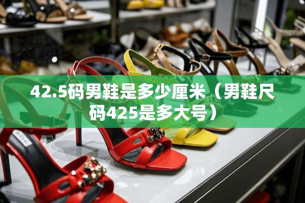 42.5码男鞋是多少厘米（男鞋尺码425是多大号）