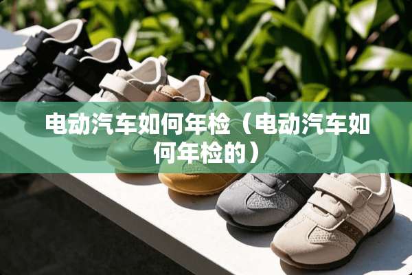 电动汽车如何年检（电动汽车如何年检的）