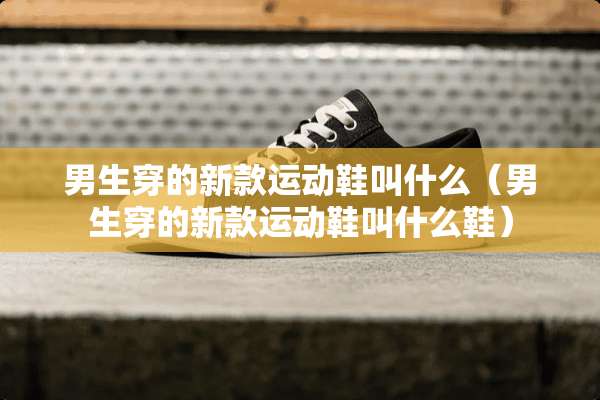 男生穿的新款运动鞋叫什么（男生穿的新款运动鞋叫什么鞋）