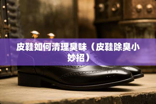 皮鞋如何清理臭味（皮鞋除臭小妙招）