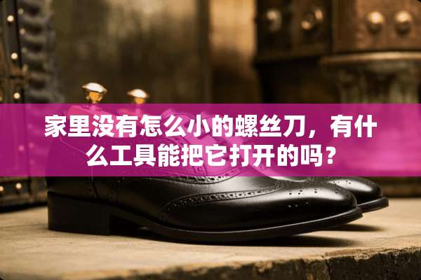 家里没有怎么小的螺丝刀，有什么工具能把它打开的吗？