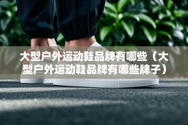 大型户外运动鞋品牌有哪些（大型户外运动鞋品牌有哪些牌子）