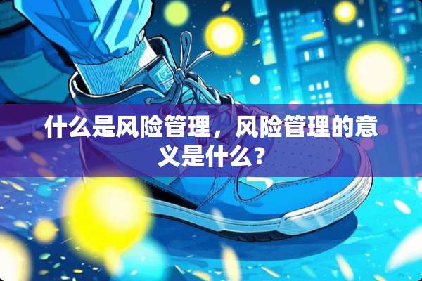 什么是风险管理，风险管理的意义是什么？