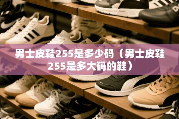 男士皮鞋255是多少码（男士皮鞋255是多大码的鞋）