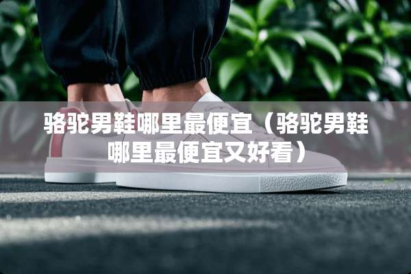 骆驼男鞋哪里最便宜（骆驼男鞋哪里最便宜又好看）