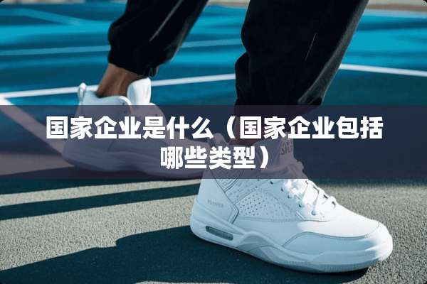 国家企业是什么（国家企业包括哪些类型）