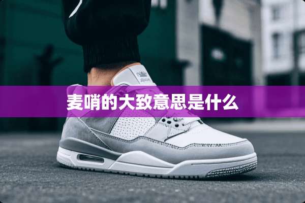 麦哨的大致意思是什么