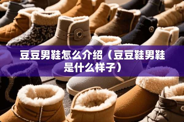 豆豆男鞋怎么介绍（豆豆鞋男鞋是什么样子）