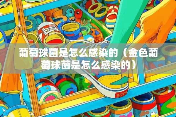葡萄球菌是怎么感染的（金色葡萄球菌是怎么感染的）