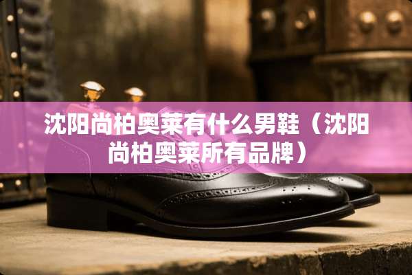 沈阳尚柏奥莱有什么男鞋（沈阳尚柏奥莱所有品牌）