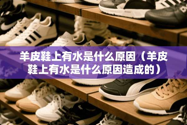 羊皮鞋上有水是什么原因（羊皮鞋上有水是什么原因造成的）