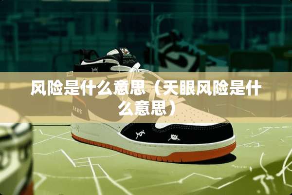 风险是什么意思（天眼风险是什么意思）