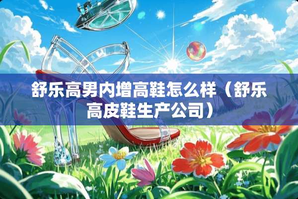 舒乐高男内增高鞋怎么样（舒乐高皮鞋生产公司）