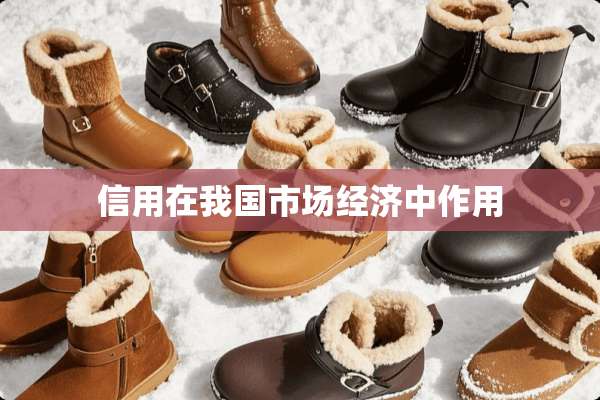 信用在我国市场经济中作用