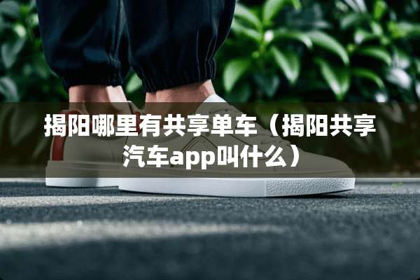 揭阳哪里有共享单车（揭阳共享汽车app叫什么）