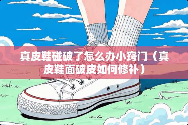 真皮鞋碰破了怎么办小窍门（真皮鞋面破皮如何修补）