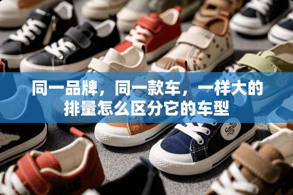 同一品牌，同一款车，一样大的排量怎么区分它的车型
