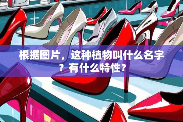 根据图片，这种植物叫什么名字？有什么特性？