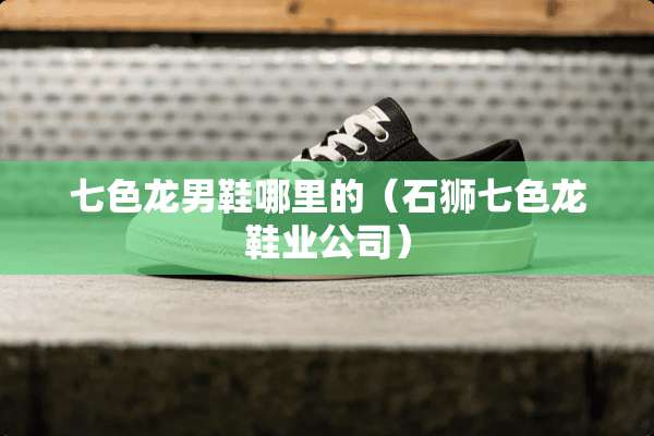 七色龙男鞋哪里的（石狮七色龙鞋业公司）