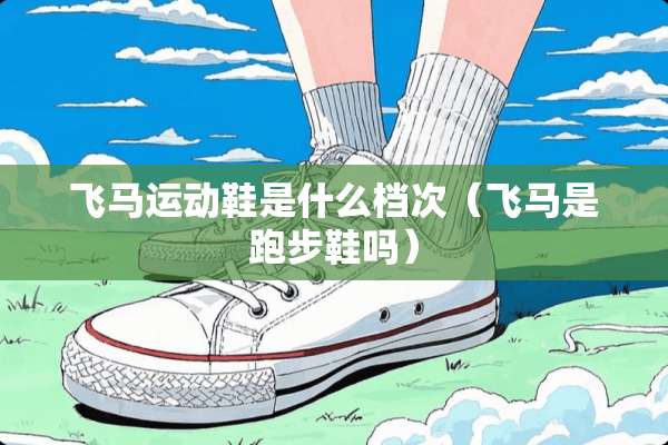 飞马运动鞋是什么档次（飞马是跑步鞋吗）