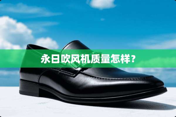 永日吹风机质量怎样？