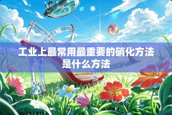 工业上最常用最重要的硝化方法是什么方法