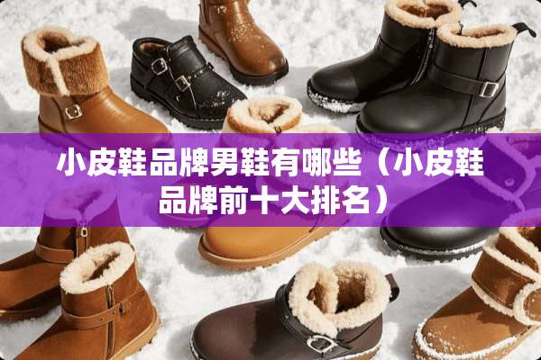 小皮鞋品牌男鞋有哪些（小皮鞋品牌前十大排名）