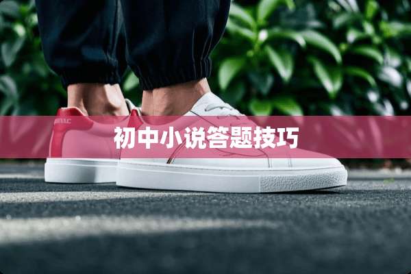 初中小说答题技巧