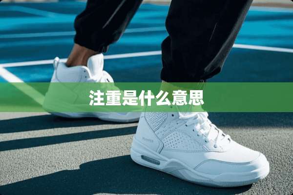 注重是什么意思
