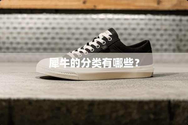 犀牛的分类有哪些？