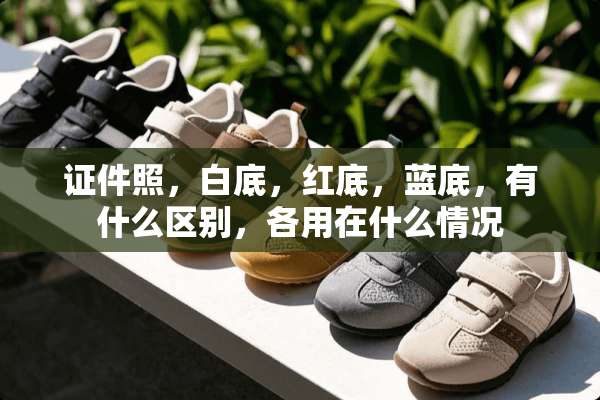 **照，白底，红底，蓝底，有什么区别，各用在什么情况