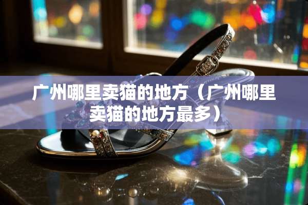 广州哪里卖猫的地方（广州哪里卖猫的地方最多）