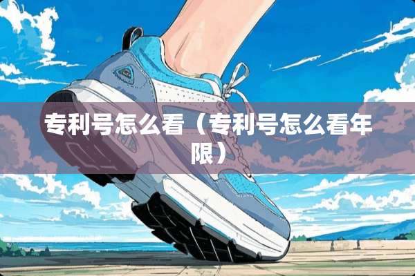 专利号怎么看（专利号怎么看年限）