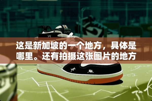 这是新加坡的一个地方，具体是哪里。还有拍摄这张图片的地方是干什么用的。