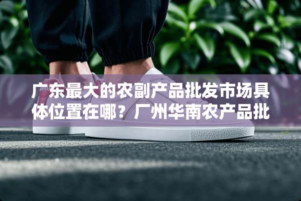 广东最大的农副产品批发市场具**置在哪？厂州华南农产品批发市场咋走呢？