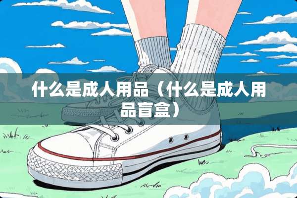 什么是**用品（什么是**用品盲盒）