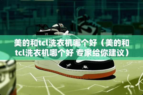 美的和tcl洗衣机哪个好（美的和tcl洗衣机哪个好 专家给你建议）