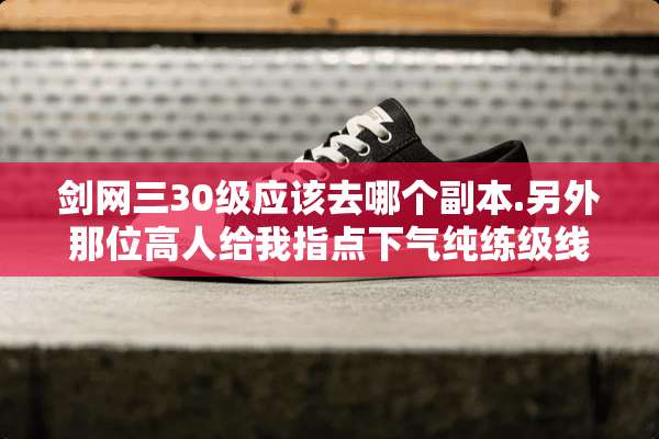 剑网三30级应该去哪个副本.另外那位高人给我指点下气纯练级线路