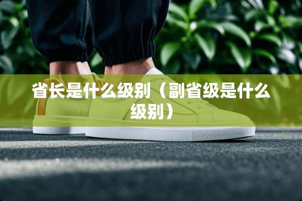 省长是什么级别（副省级是什么级别）