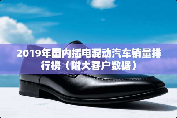 2019年国内插电混动汽车销量排行榜（附大客户数据）