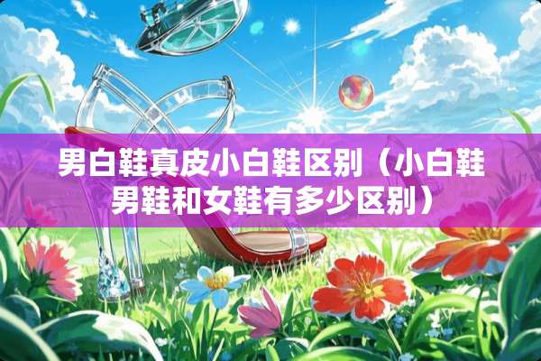 男白鞋真皮小白鞋区别（小白鞋男鞋和女鞋有多少区别）