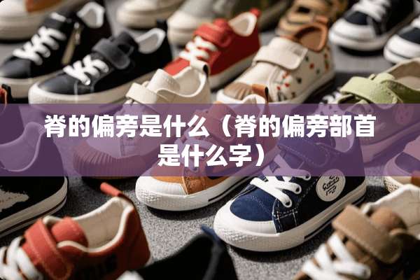脊的偏旁是什么（脊的偏旁部首是什么字）