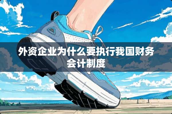 外资企业为什么要执行我国财务会计制度