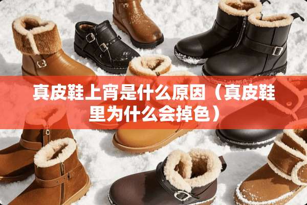 真皮鞋上宵是什么原因（真皮鞋里为什么会掉色）