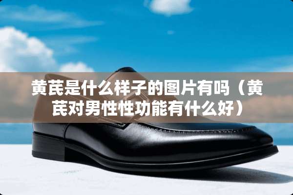 黄芪是什么样子的图片有吗（黄芪对男性性功能有什么好）